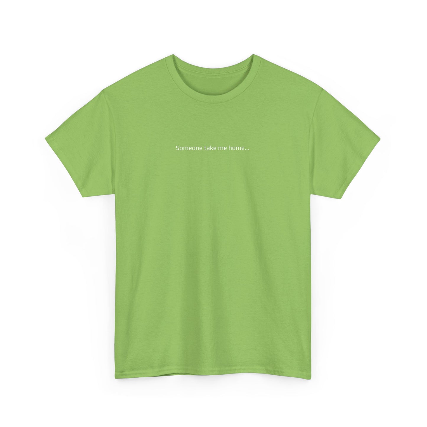 Someone Take Me Home... I'm Hammered - St Paddy's Day T-Shirt