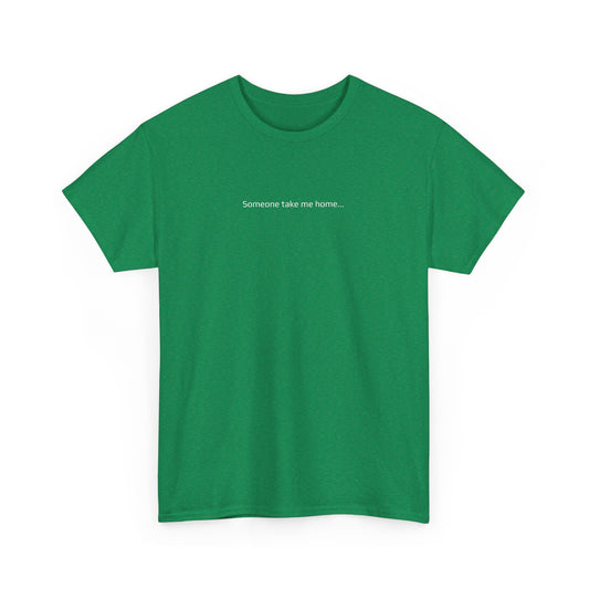 Someone Take Me Home... I'm Hammered - St Paddy's Day T-Shirt