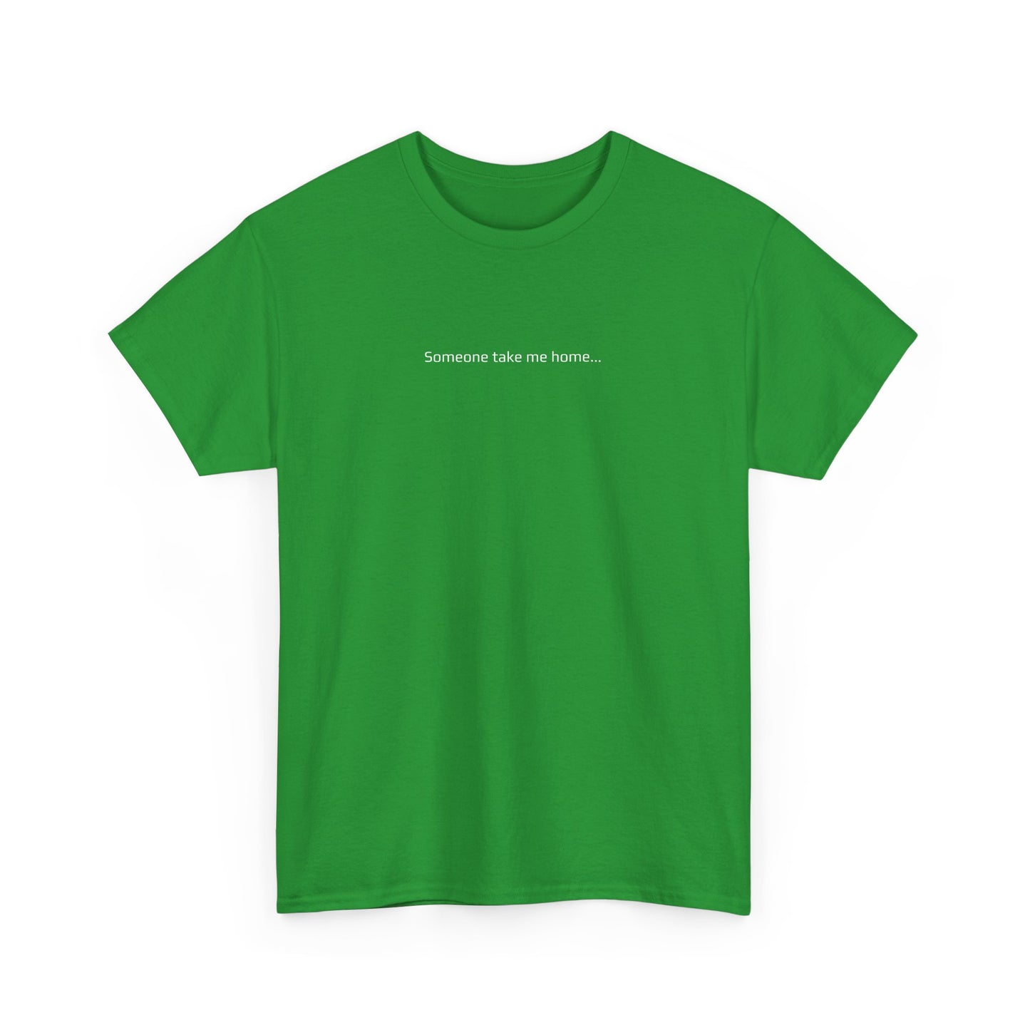 Someone Take Me Home... I'm Hammered - St Paddy's Day T-Shirt