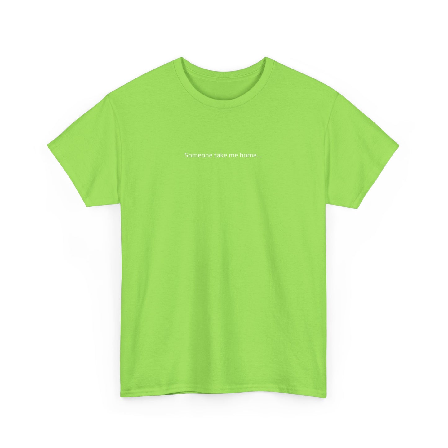 Someone Take Me Home... I'm Hammered - St Paddy's Day T-Shirt